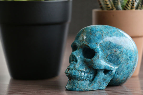 Anatomical Blue Apatite 3 Inch Crystal Skull