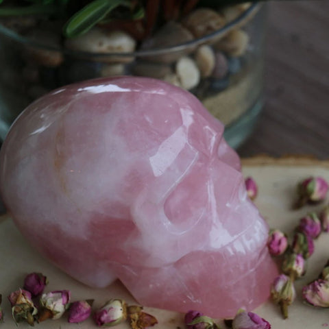 Anatomical Rose Quartz 5 Inch Crystal Skull