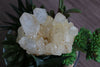 Lemurian Quartz Large Cluster - Raw Specimen