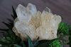 Lemurian Quartz Large Cluster - Raw Specimen